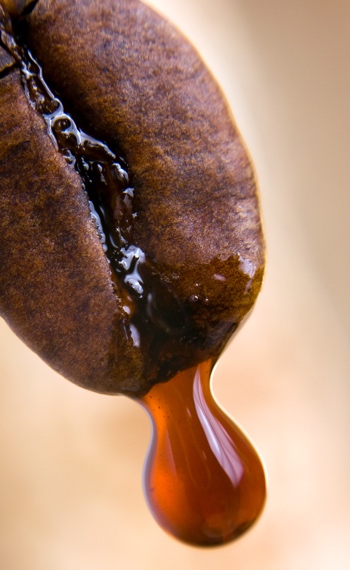 Grano cafe capsulas compatibles fuerte intensidad El Datil